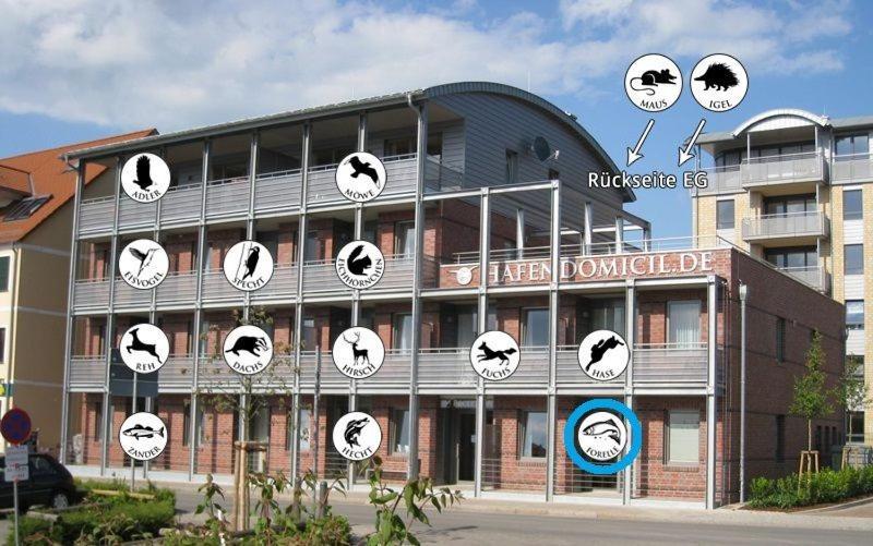 Hafendomicil Appartement Wh01 - Forelle Waren  Exterior foto